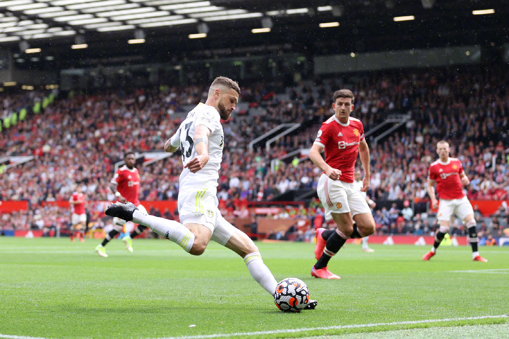 蒂那样的大 蒂那样的大